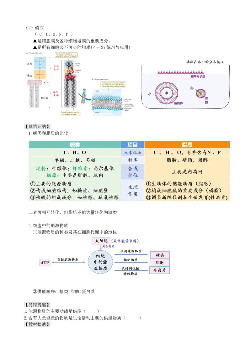 第3讲糖类和脂质（讲义）（学生版）_2024年新高考资料_1.2024一轮复习_2024年高考生物一轮复习讲练测（新教材新高考）