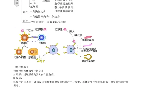 第30讲免疫失调和免疫学的应用（讲义）（教师版）_2024年新高考资料_1.2024一轮复习_2024年高考生物一轮复习讲练测（新教材新高考）