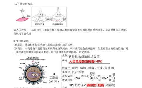 第30讲免疫失调和免疫学的应用（讲义）（教师版）_2024年新高考资料_1.2024一轮复习_2024年高考生物一轮复习讲练测（新教材新高考）