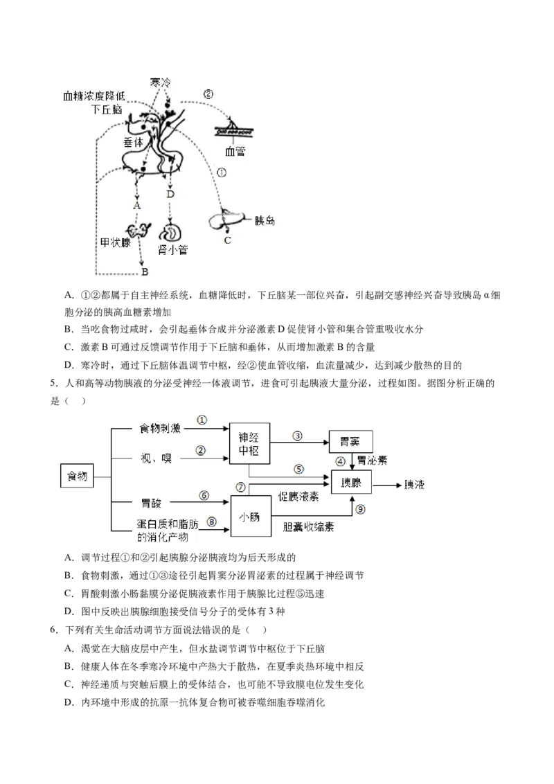第31讲动物生命活动调节的综合分析（练习）（原卷版）_2024年新高考资料_1.2024一轮复习_2024年高考生物一轮复习讲练测（新教材新高考）
