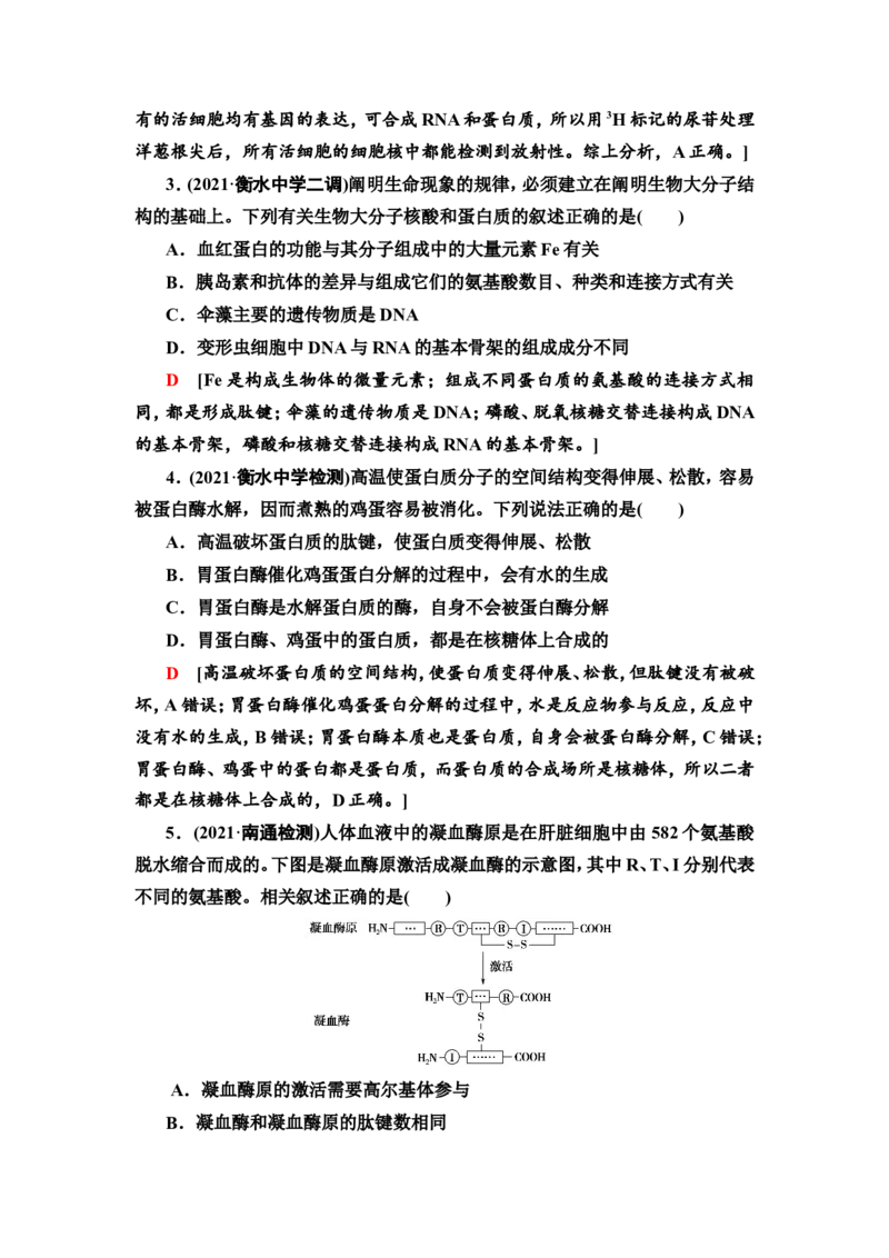 [13326469]备考2023生物课时分层作业3　蛋白质和核酸(含解析）_新高考复习资料_2023年新高考复习资料_专项复习_备考2023新高考生物课时分层作业