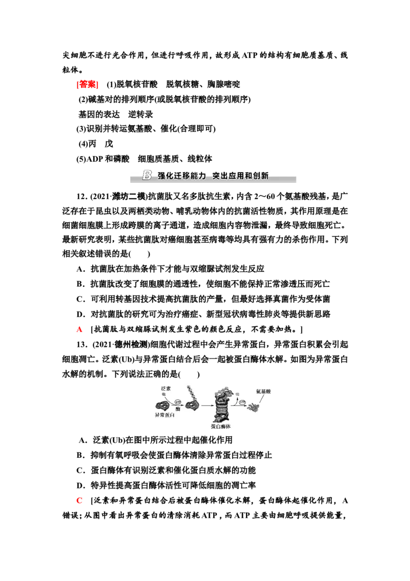 [13326469]备考2023生物课时分层作业3　蛋白质和核酸(含解析）_新高考复习资料_2023年新高考复习资料_专项复习_备考2023新高考生物课时分层作业