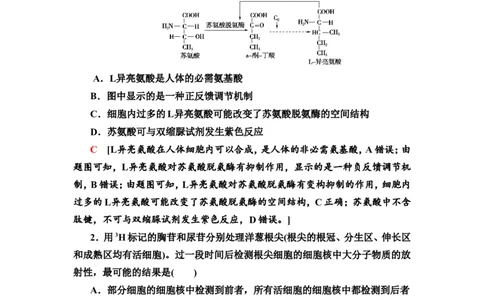 [13326469]备考2023生物课时分层作业3　蛋白质和核酸(含解析）_新高考复习资料_2023年新高考复习资料_专项复习_备考2023新高考生物课时分层作业