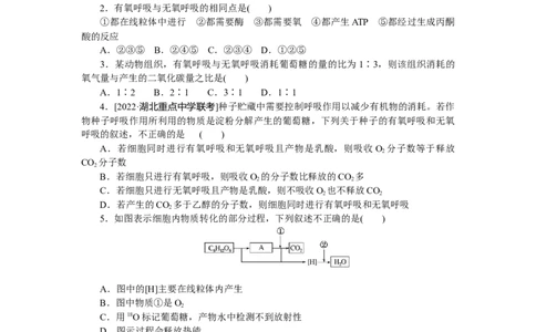 专练24　细胞呼吸(有氧呼吸与无氧呼吸)_新高考复习资料_2023年新高考复习资料_专项复习_2023《微专题&middot;小练习》&middot;生物&middot;新教材&middot;XL-7