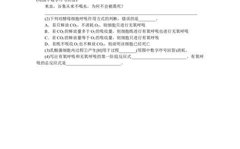 专练24　细胞呼吸(有氧呼吸与无氧呼吸)_新高考复习资料_2023年新高考复习资料_专项复习_2023《微专题&middot;小练习》&middot;生物&middot;新教材&middot;XL-7