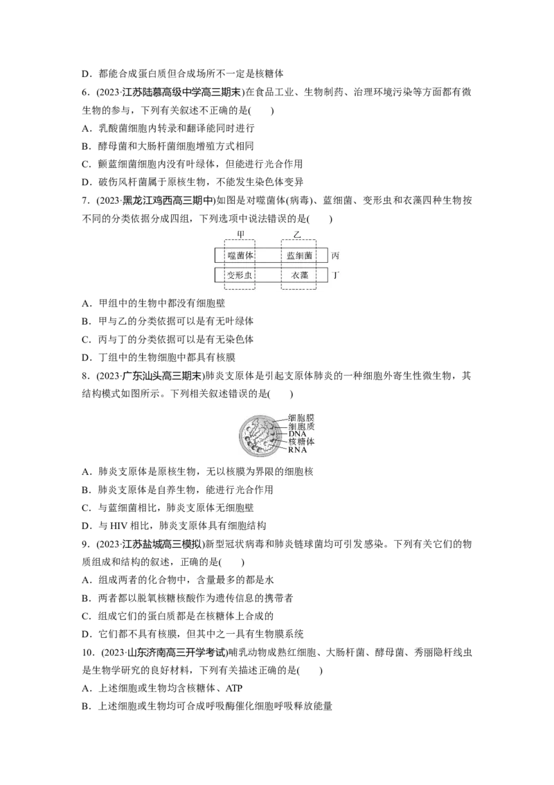第1单元　课时练1　走近细胞_2024年新高考资料_1.2024一轮复习_2024年高考生物一轮复习讲义（新人教版）_学生版在此文件夹_一轮复习69练_第一单元　细胞的概述及其分子组成