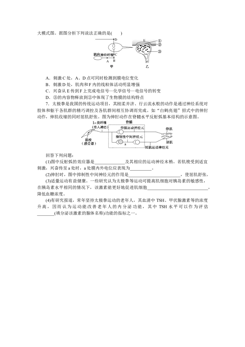 专练58　神经调节(神经调节的结构基础和反射)_通用版（老高考）复习资料_2023年复习资料_专项复习_2023《微专题&middot;小练习》&middot;生物