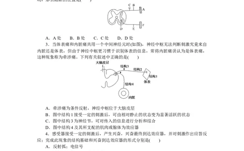 专练58　神经调节(神经调节的结构基础和反射)_通用版（老高考）复习资料_2023年复习资料_专项复习_2023《微专题&middot;小练习》&middot;生物