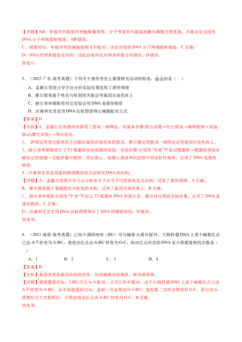 第21讲DNA分子的结构、复制与基因的本质（练习）（解析版）_2024年新高考资料_1.2024一轮复习_2024年高考生物一轮复习讲练测（新教材新高考）