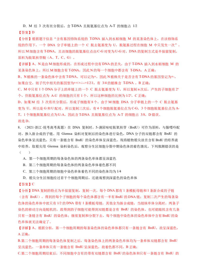 第21讲DNA分子的结构、复制与基因的本质（练习）（解析版）_2024年新高考资料_1.2024一轮复习_2024年高考生物一轮复习讲练测（新教材新高考）