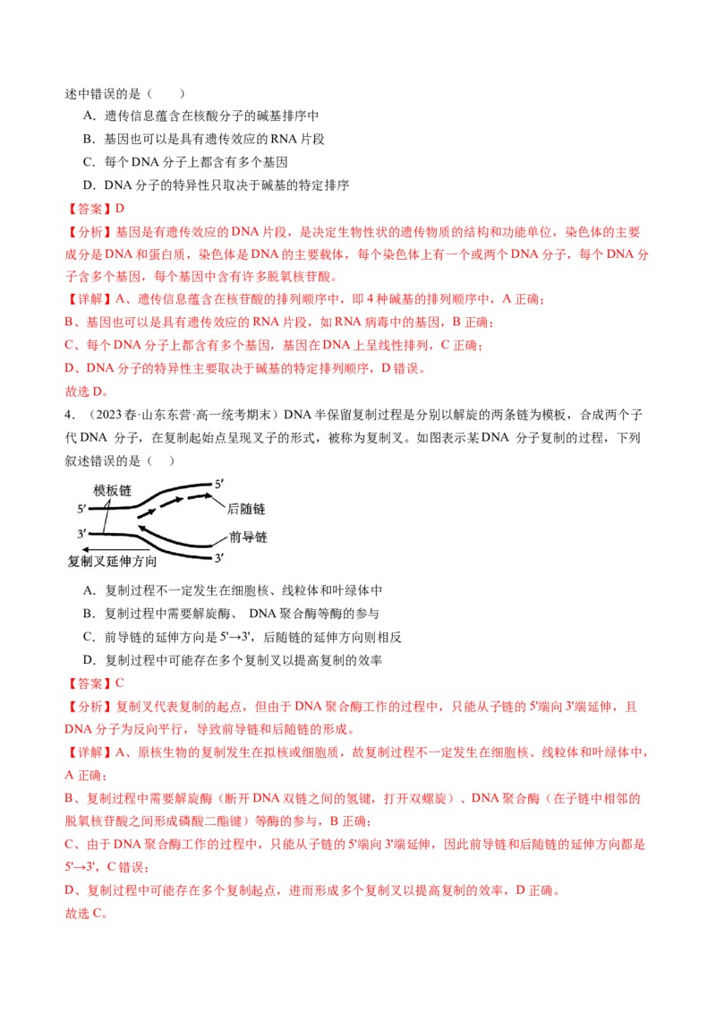 第21讲DNA分子的结构、复制与基因的本质（练习）（解析版）_2024年新高考资料_1.2024一轮复习_2024年高考生物一轮复习讲练测（新教材新高考）