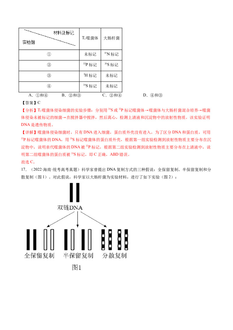 第21讲DNA分子的结构、复制与基因的本质（练习）（解析版）_2024年新高考资料_1.2024一轮复习_2024年高考生物一轮复习讲练测（新教材新高考）