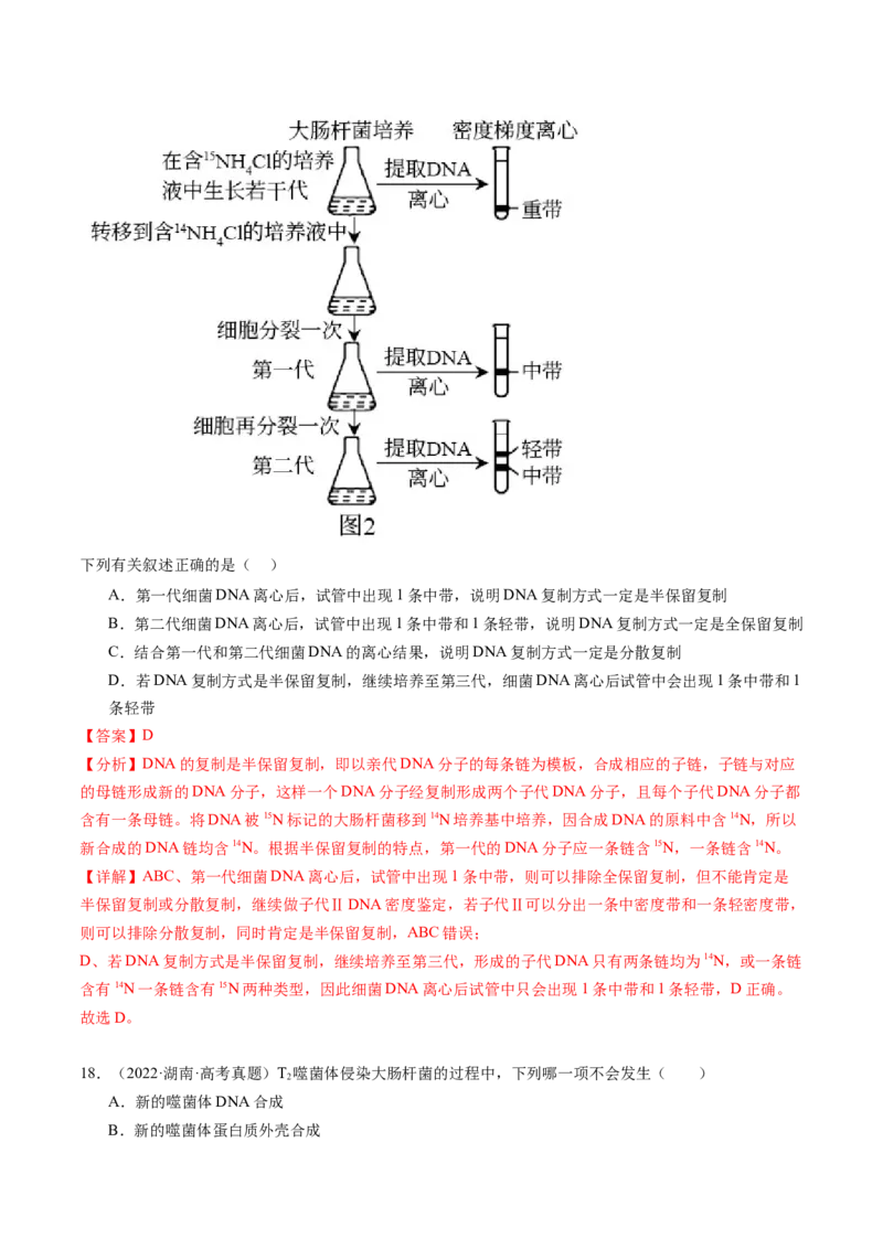 第21讲DNA分子的结构、复制与基因的本质（练习）（解析版）_2024年新高考资料_1.2024一轮复习_2024年高考生物一轮复习讲练测（新教材新高考）
