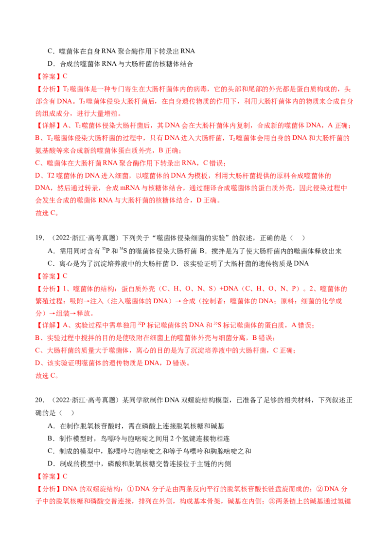 第21讲DNA分子的结构、复制与基因的本质（练习）（解析版）_2024年新高考资料_1.2024一轮复习_2024年高考生物一轮复习讲练测（新教材新高考）