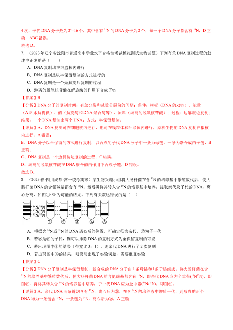 第21讲DNA分子的结构、复制与基因的本质（练习）（解析版）_2024年新高考资料_1.2024一轮复习_2024年高考生物一轮复习讲练测（新教材新高考）