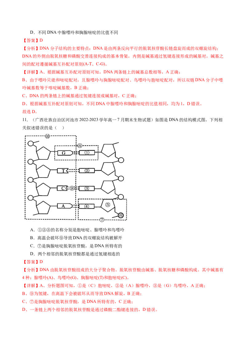 第21讲DNA分子的结构、复制与基因的本质（练习）（解析版）_2024年新高考资料_1.2024一轮复习_2024年高考生物一轮复习讲练测（新教材新高考）