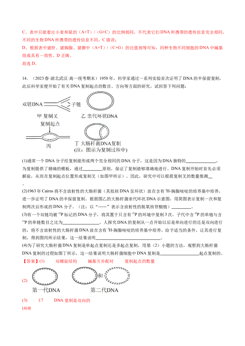 第21讲DNA分子的结构、复制与基因的本质（练习）（解析版）_2024年新高考资料_1.2024一轮复习_2024年高考生物一轮复习讲练测（新教材新高考）