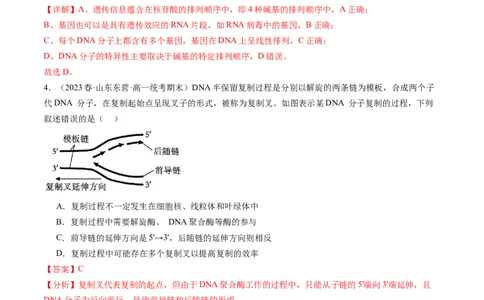第21讲DNA分子的结构、复制与基因的本质（练习）（解析版）_2024年新高考资料_1.2024一轮复习_2024年高考生物一轮复习讲练测（新教材新高考）