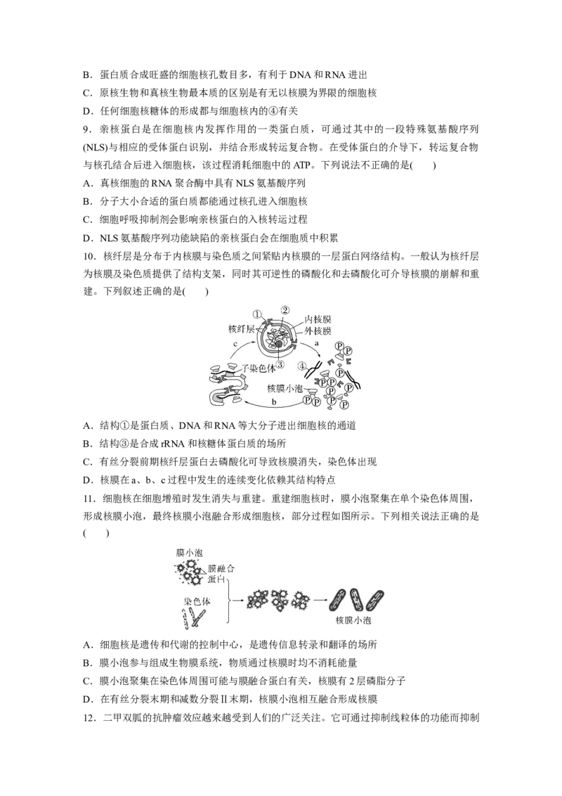 第2单元　课时练3　细胞核的结构和功能_2024年新高考资料_1.2024一轮复习_2024年高考生物一轮复习讲义（新人教版）_学生版在此文件夹_一轮复习69练