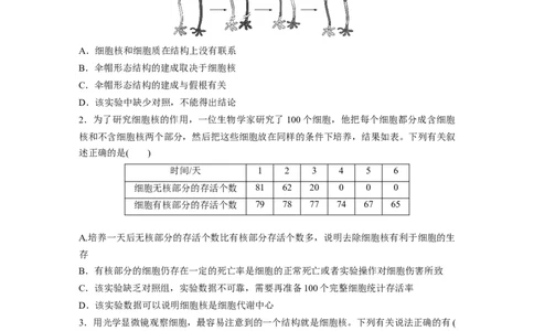 第2单元　课时练3　细胞核的结构和功能_2024年新高考资料_1.2024一轮复习_2024年高考生物一轮复习讲义（新人教版）_学生版在此文件夹_一轮复习69练
