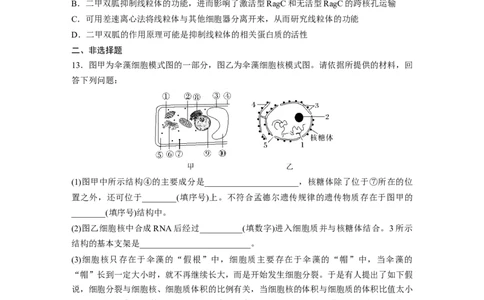 第2单元　课时练3　细胞核的结构和功能_2024年新高考资料_1.2024一轮复习_2024年高考生物一轮复习讲义（新人教版）_学生版在此文件夹_一轮复习69练