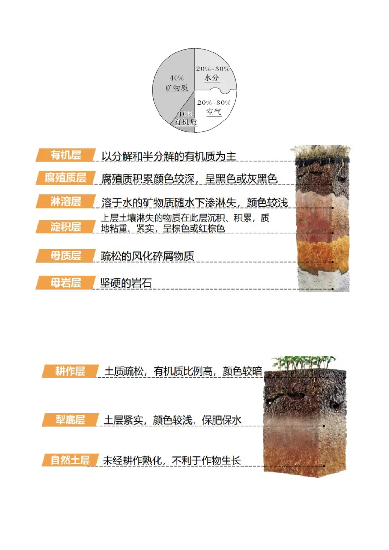 重难点09植被、土壤与人类活动（解析版）_2025年新高考资料_二轮复习_2025年高三地理高考二轮复习专项提升（新高考通用）3405802_重点&middot;难点&middot;热点专练（分地区）_天津专用