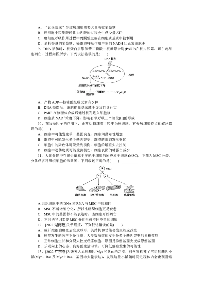 专练31　细胞的衰老、凋亡和癌变_通用版（老高考）复习资料_2023年复习资料_专项复习_2023《微专题&middot;小练习》&middot;生物