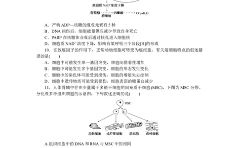 专练31　细胞的衰老、凋亡和癌变_通用版（老高考）复习资料_2023年复习资料_专项复习_2023《微专题&middot;小练习》&middot;生物