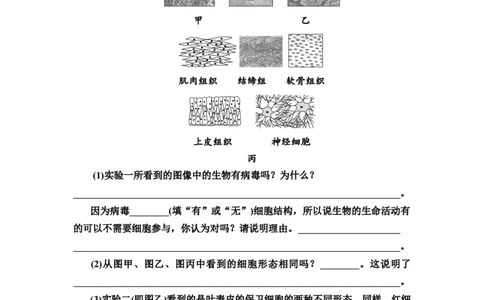 [13326468]备考2023生物课时分层作业1　走近细胞(含解析）_新高考复习资料_2023年新高考复习资料_专项复习_备考2023新高考生物课时分层作业