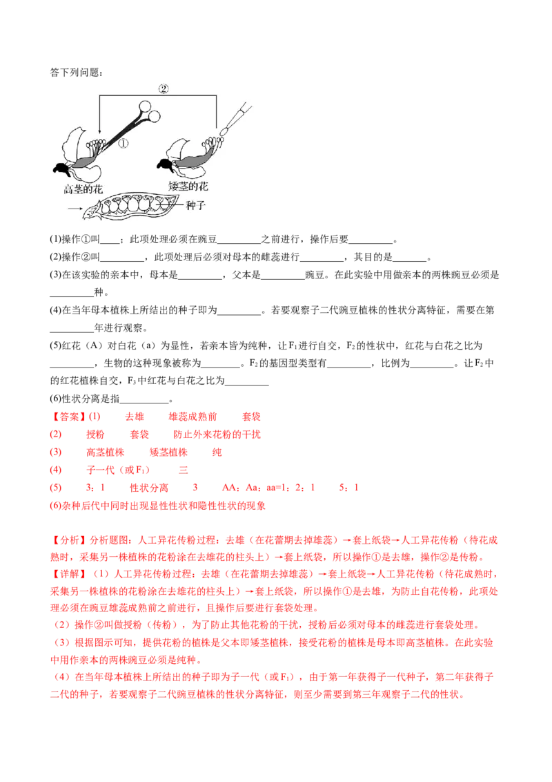 第15讲遗传的基础知识（练习）（解析版）_2024年新高考资料_1.2024一轮复习_2024年高考生物一轮复习讲练测（新教材新高考）