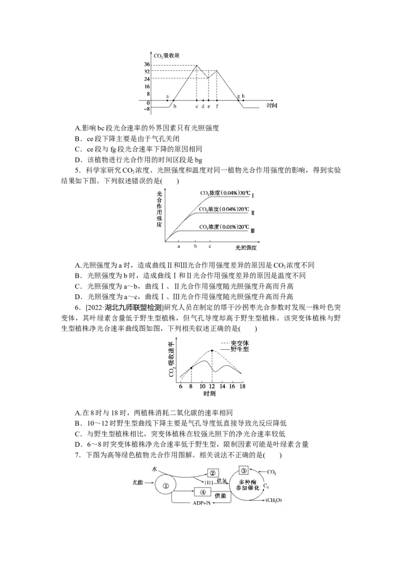 专练27　光合作用的图像分析_通用版（老高考）复习资料_2023年复习资料_专项复习_2023《微专题&middot;小练习》&middot;生物
