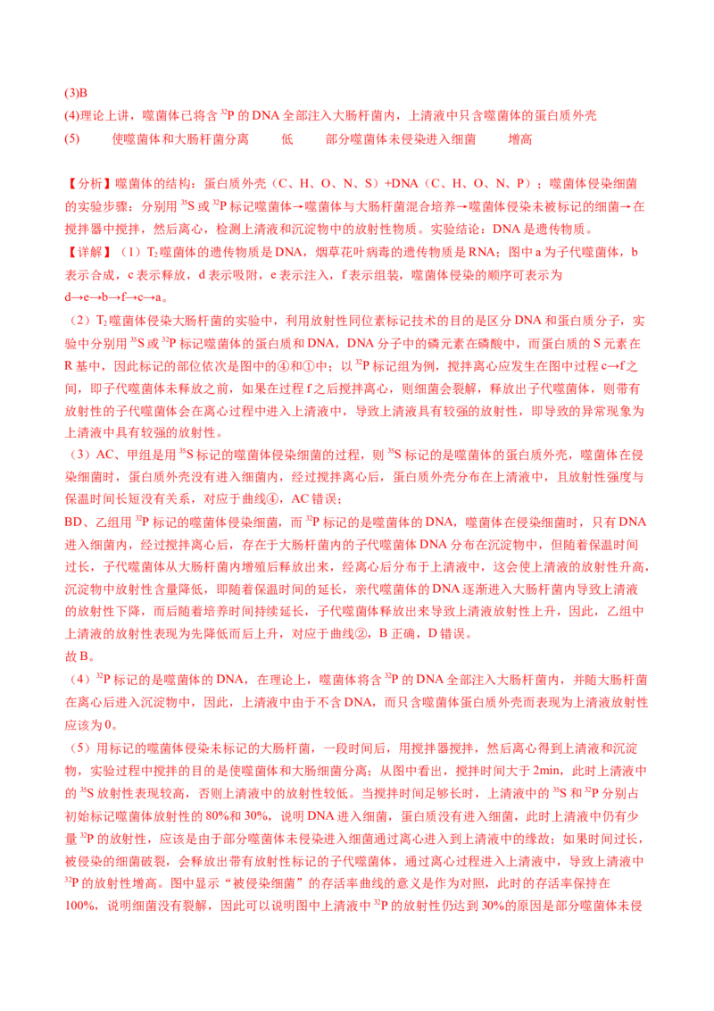 第20讲DNA是主要的遗传物质（练习）（解析版）_2024年新高考资料_1.2024一轮复习_2024年高考生物一轮复习讲练测（新教材新高考）