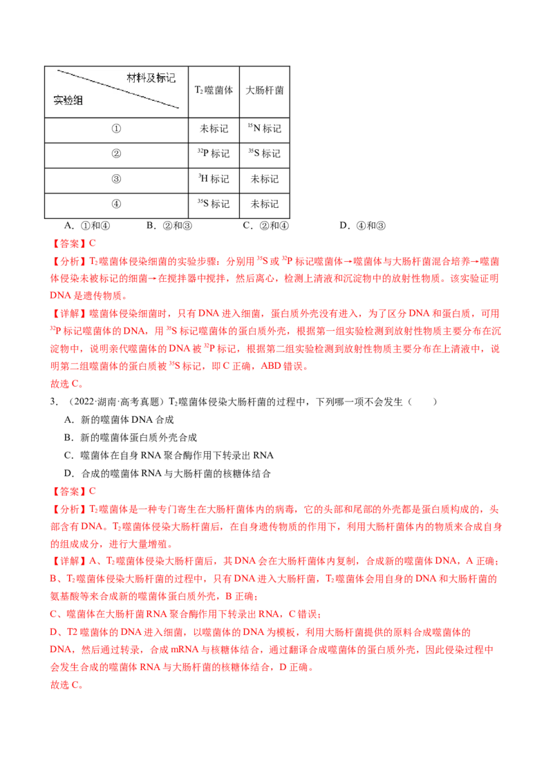 第20讲DNA是主要的遗传物质（练习）（解析版）_2024年新高考资料_1.2024一轮复习_2024年高考生物一轮复习讲练测（新教材新高考）