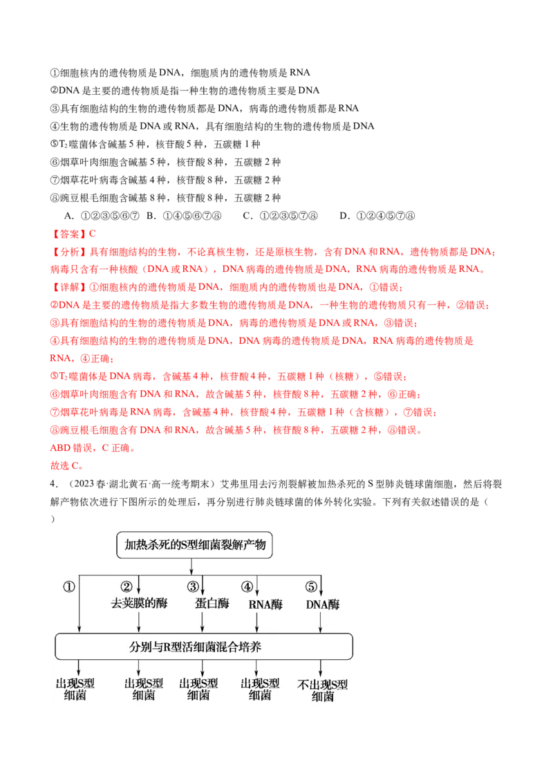 第20讲DNA是主要的遗传物质（练习）（解析版）_2024年新高考资料_1.2024一轮复习_2024年高考生物一轮复习讲练测（新教材新高考）