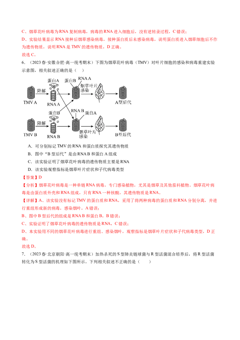 第20讲DNA是主要的遗传物质（练习）（解析版）_2024年新高考资料_1.2024一轮复习_2024年高考生物一轮复习讲练测（新教材新高考）