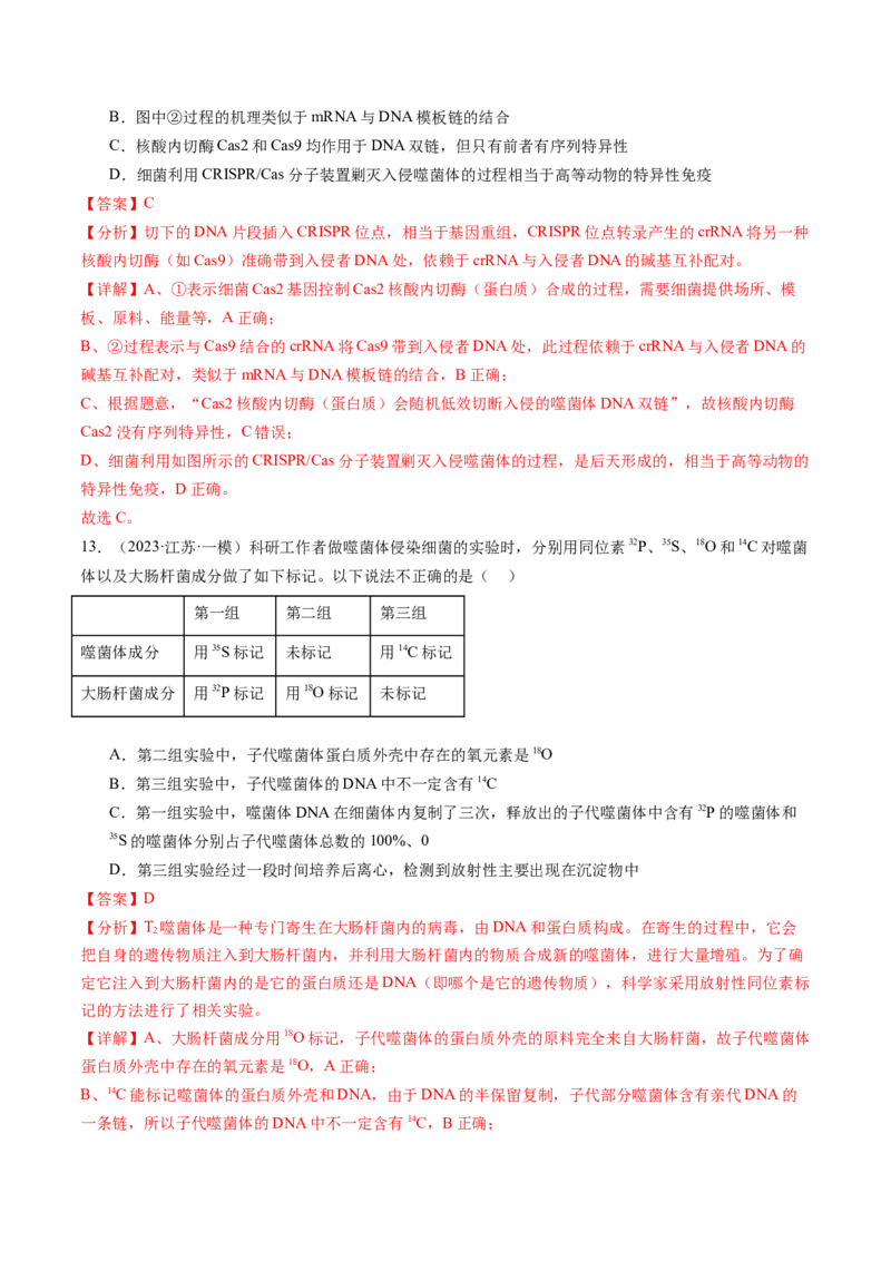 第20讲DNA是主要的遗传物质（练习）（解析版）_2024年新高考资料_1.2024一轮复习_2024年高考生物一轮复习讲练测（新教材新高考）