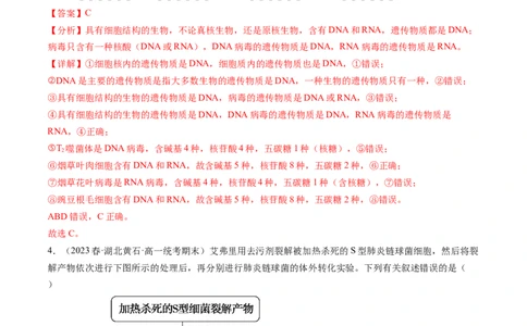 第20讲DNA是主要的遗传物质（练习）（解析版）_2024年新高考资料_1.2024一轮复习_2024年高考生物一轮复习讲练测（新教材新高考）