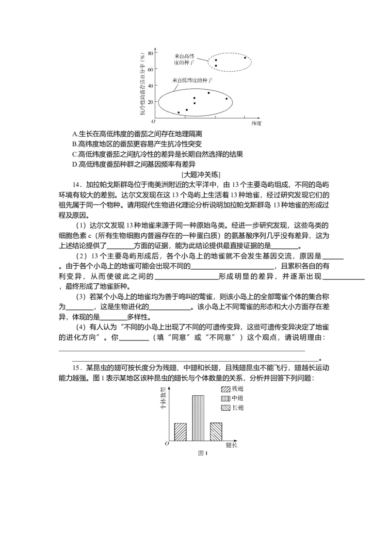 2025届高中生物学一轮复习检测案26　生物的进化（含解析）_2025年新高考资料_一轮复习_2025届高中生物学一轮复习分层复习检测(含解析)
