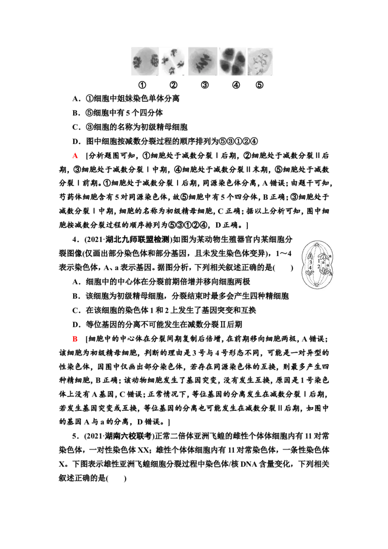 [13326489]备考2023生物课时分层作业12　减数分裂和受精作用(含解析）_新高考复习资料_2023年新高考复习资料_专项复习_备考2023新高考生物课时分层作业