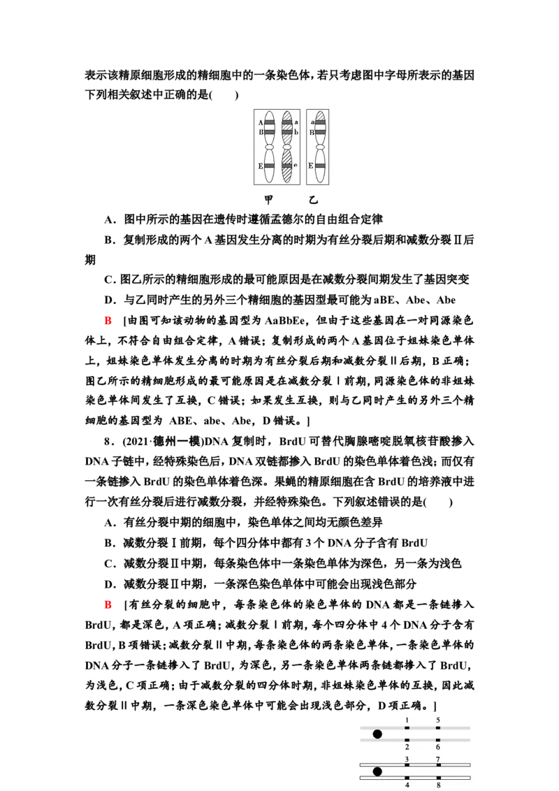 [13326489]备考2023生物课时分层作业12　减数分裂和受精作用(含解析）_新高考复习资料_2023年新高考复习资料_专项复习_备考2023新高考生物课时分层作业