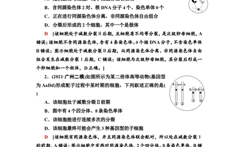[13326489]备考2023生物课时分层作业12　减数分裂和受精作用(含解析）_新高考复习资料_2023年新高考复习资料_专项复习_备考2023新高考生物课时分层作业