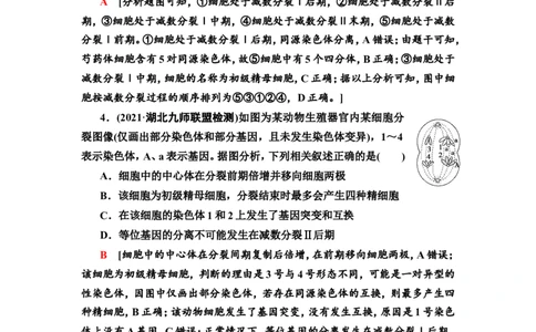 [13326489]备考2023生物课时分层作业12　减数分裂和受精作用(含解析）_新高考复习资料_2023年新高考复习资料_专项复习_备考2023新高考生物课时分层作业