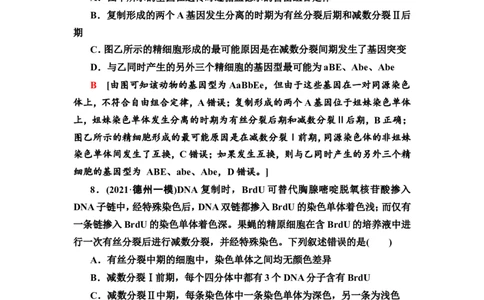 [13326489]备考2023生物课时分层作业12　减数分裂和受精作用(含解析）_新高考复习资料_2023年新高考复习资料_专项复习_备考2023新高考生物课时分层作业