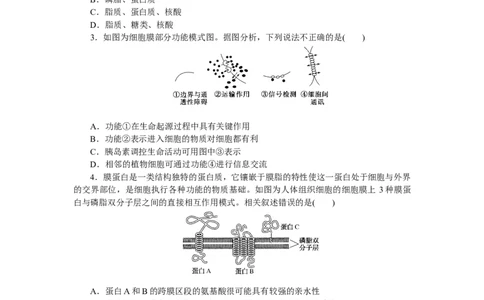 专练8　细胞膜&mdash;&mdash;系统的边界_通用版（老高考）复习资料_2023年复习资料_专项复习_2023《微专题&middot;小练习》&middot;生物