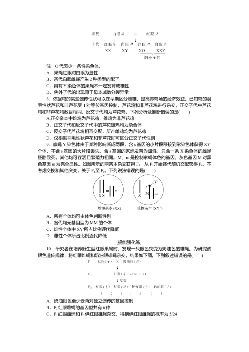 2025届高中生物学一轮复习检测案19　基因在染色体上、伴性遗传（含解析）_2025年新高考资料_一轮复习_2025届高中生物学一轮复习分层复习检测(含解析)
