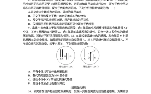 2025届高中生物学一轮复习检测案19　基因在染色体上、伴性遗传（含解析）_2025年新高考资料_一轮复习_2025届高中生物学一轮复习分层复习检测(含解析)