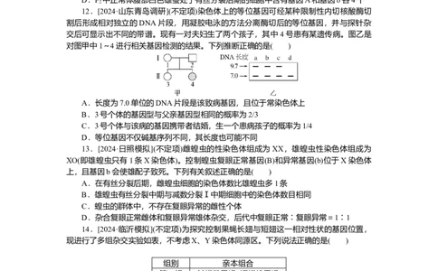 2025届高中生物学一轮复习检测案19　基因在染色体上、伴性遗传（含解析）_2025年新高考资料_一轮复习_2025届高中生物学一轮复习分层复习检测(含解析)