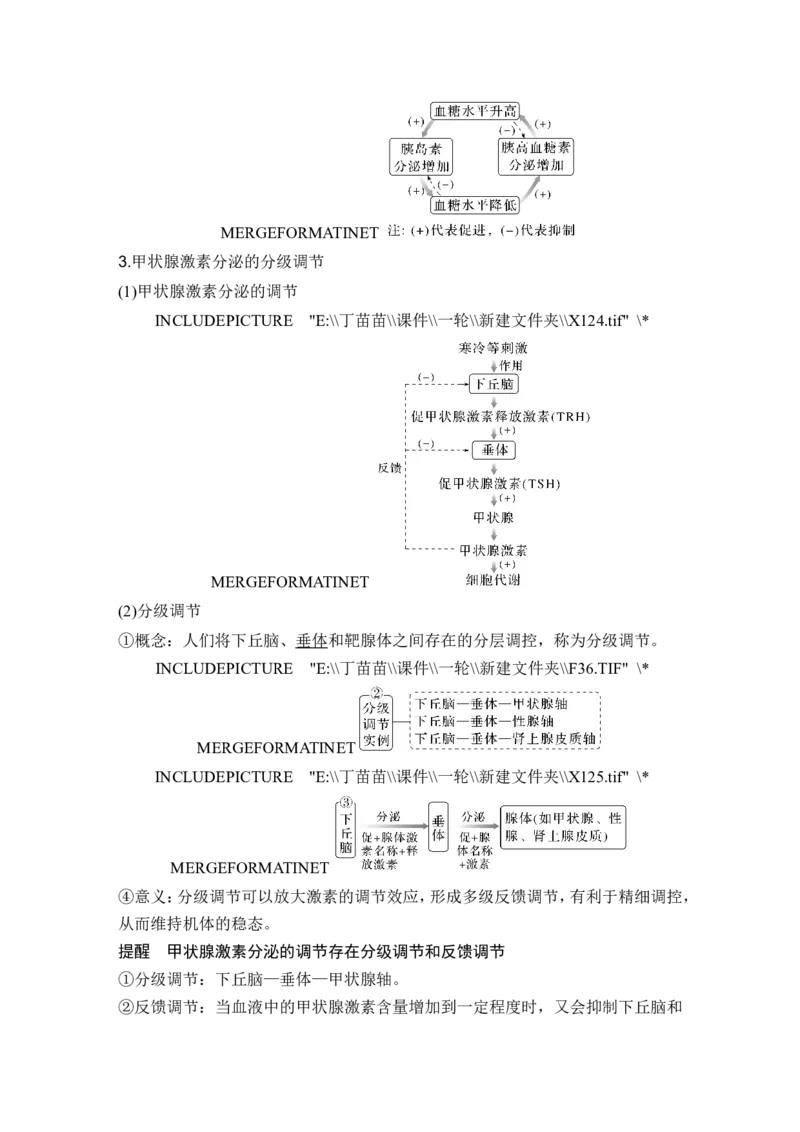 第24讲体液调节_2024年新高考资料_1.2024一轮复习_2024年高考生物一轮复习讲义（新人教版）_另附1套Word版题库_选择性必修1_第八单元稳态与调节