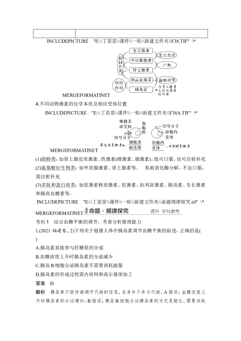 第24讲体液调节_2024年新高考资料_1.2024一轮复习_2024年高考生物一轮复习讲义（新人教版）_另附1套Word版题库_选择性必修1_第八单元稳态与调节