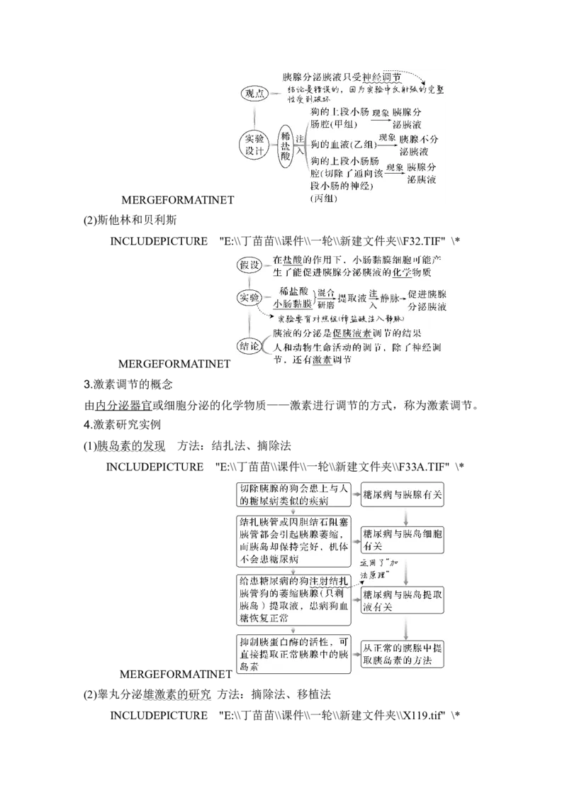 第24讲体液调节_2024年新高考资料_1.2024一轮复习_2024年高考生物一轮复习讲义（新人教版）_另附1套Word版题库_选择性必修1_第八单元稳态与调节